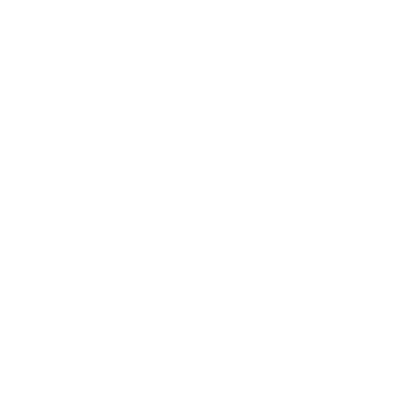 partner-icon