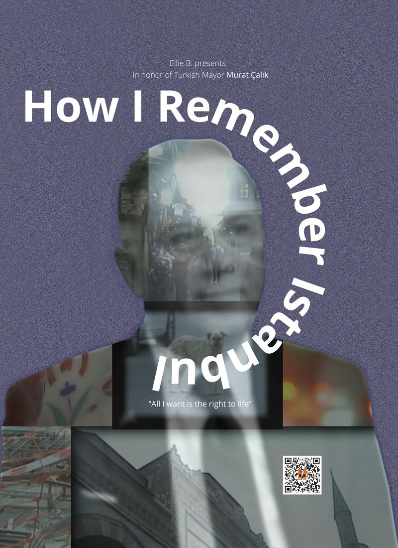 How I Remember Instanbul poster