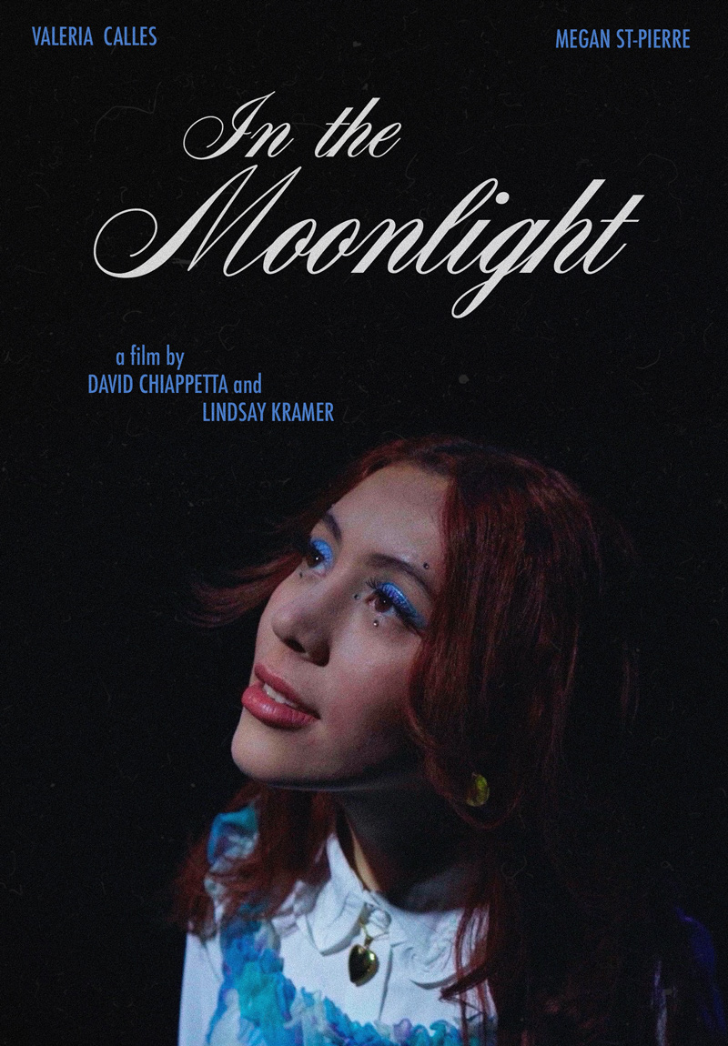 In the Moonlight poster