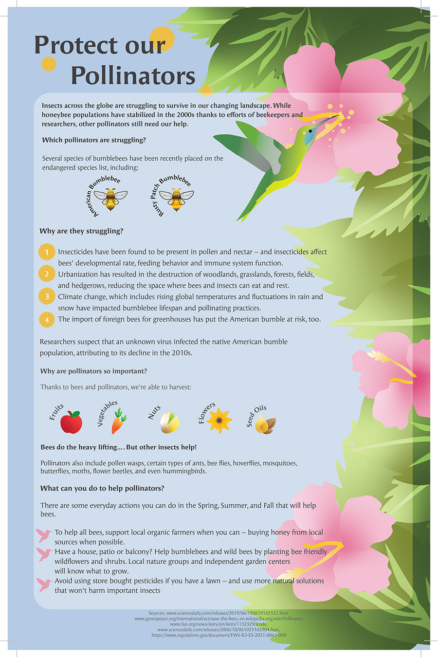 Chelsea Kumar pollinator infographic